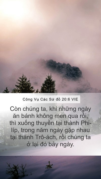 Công Vụ Các Sứ đồ 20:6 VIE Bible Verse Image