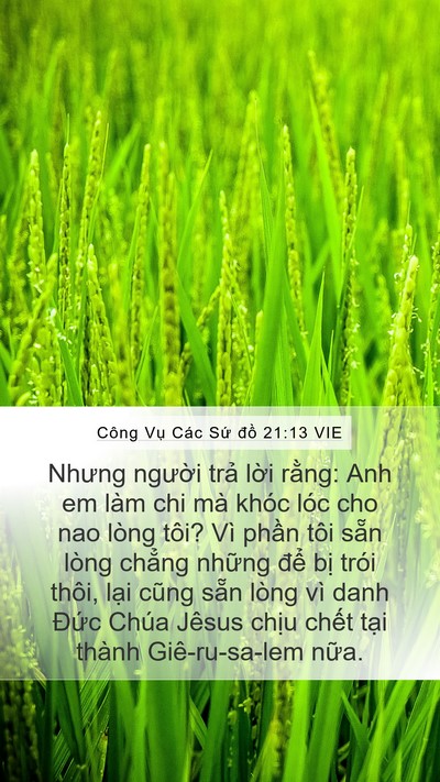 Công Vụ Các Sứ đồ 21:13 VIE Bible Verse Image