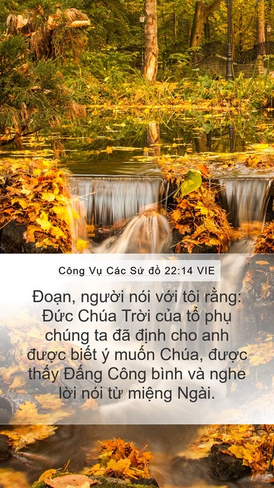Công Vụ Các Sứ đồ 22:14 VIE Bible Verse Image