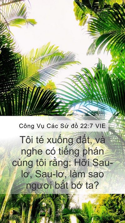 Công Vụ Các Sứ đồ 22:7 VIE Bible Verse Image