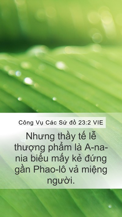 Công Vụ Các Sứ đồ 23:2 VIE Bible Verse Image