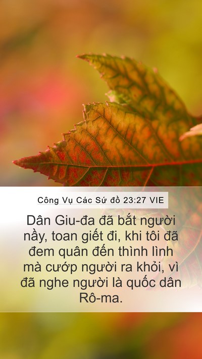 Công Vụ Các Sứ đồ 23:27 VIE Bible Verse Image
