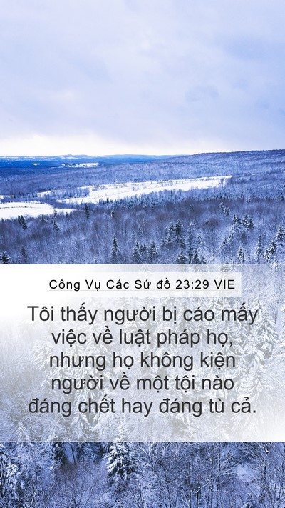 Công Vụ Các Sứ đồ 23:29 VIE Bible Verse Image