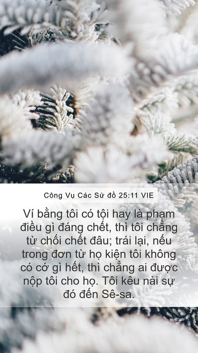 Công Vụ Các Sứ đồ 25:11 VIE Bible Verse Image