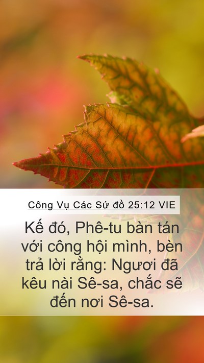 Công Vụ Các Sứ đồ 25:12 VIE Bible Verse Image