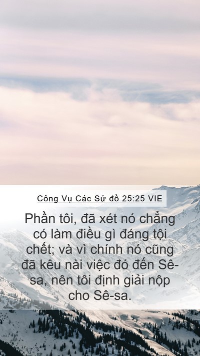 Công Vụ Các Sứ đồ 25:25 VIE Bible Verse Image