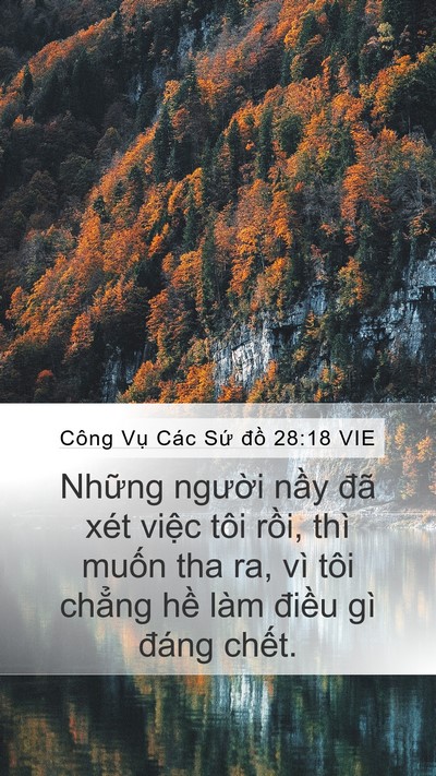 Công Vụ Các Sứ đồ 28:18 VIE Bible Verse Image