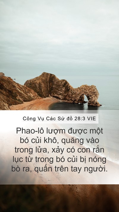 Công Vụ Các Sứ đồ 28:3 VIE Bible Verse Image