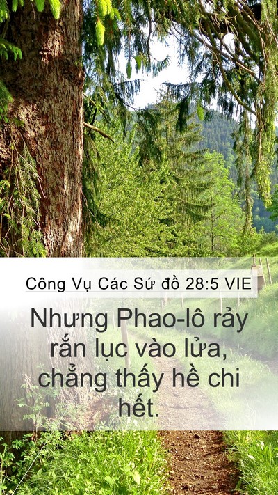 Công Vụ Các Sứ đồ 28:5 VIE Bible Verse Image