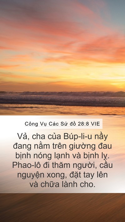 Công Vụ Các Sứ đồ 28:8 VIE Bible Verse Image
