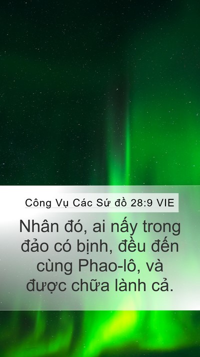 Công Vụ Các Sứ đồ 28:9 VIE Mobile Phone Wallpaper - Nhân đó, ai nấy trong đảo có bịnh, - Mobile Bible Verse Wallpaper