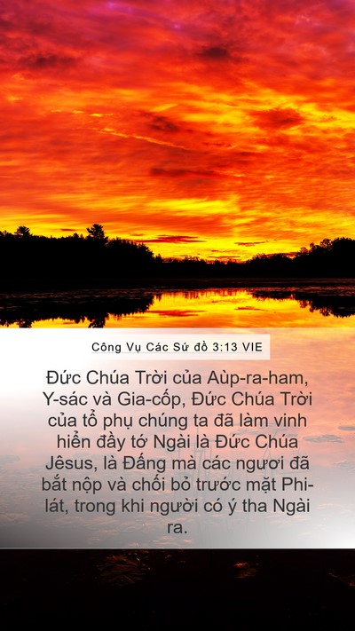 Công Vụ Các Sứ đồ 3:13 VIE Bible Verse Image