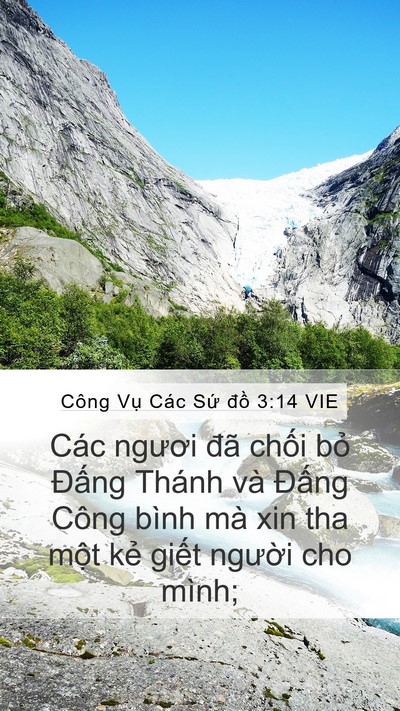 Công Vụ Các Sứ đồ 3:14 VIE Bible Verse Image