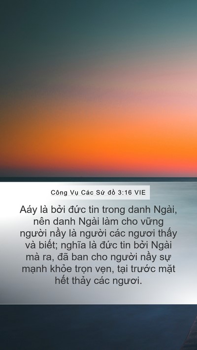 Công Vụ Các Sứ đồ 3:16 VIE Bible Verse Image