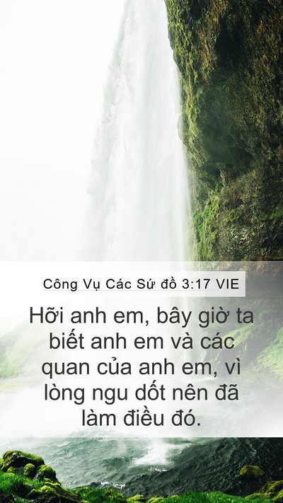 Công Vụ Các Sứ đồ 3:17 VIE Bible Verse Image