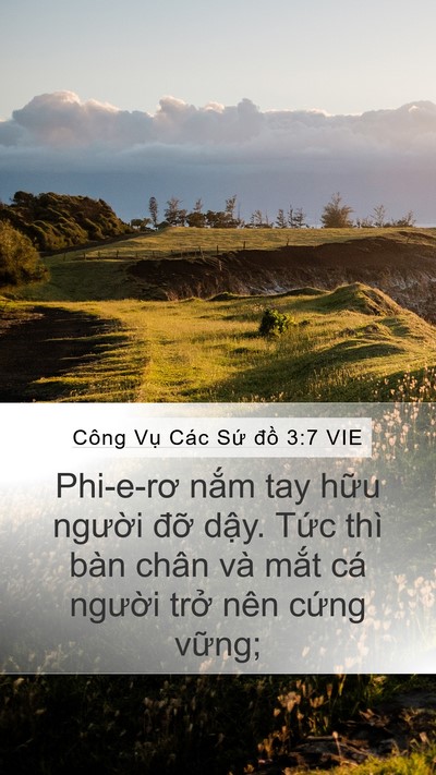 Công Vụ Các Sứ đồ 3:7 VIE Bible Verse Image