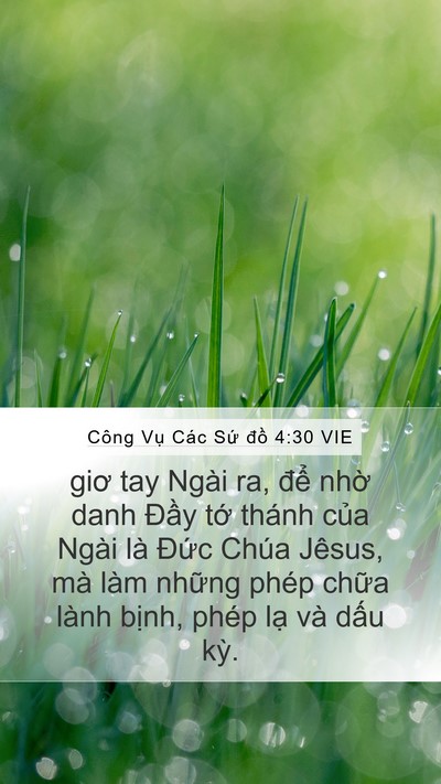 Công Vụ Các Sứ đồ 4:30 VIE Bible Verse Image