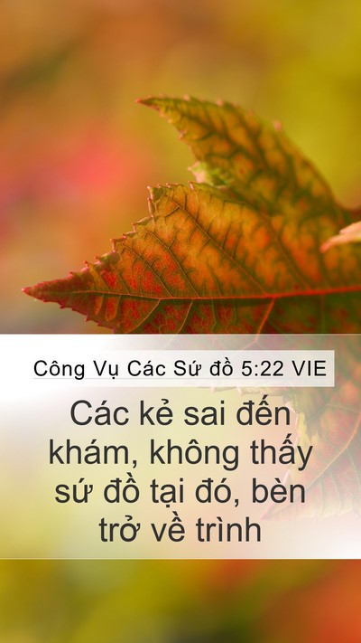 Công Vụ Các Sứ đồ 5:22 VIE Mobile Phone Wallpaper - Các kẻ sai đến khám, không thấy sứ - Mobile Bible Verse Wallpaper