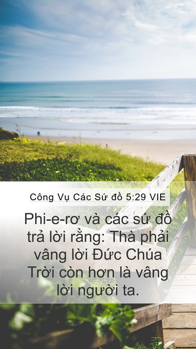 Công Vụ Các Sứ đồ 5:29 VIE Bible Verse Image