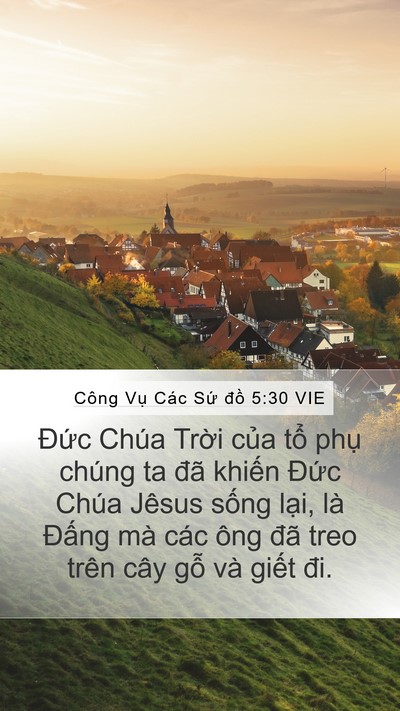 Công Vụ Các Sứ đồ 5:30 VIE Bible Verse Image