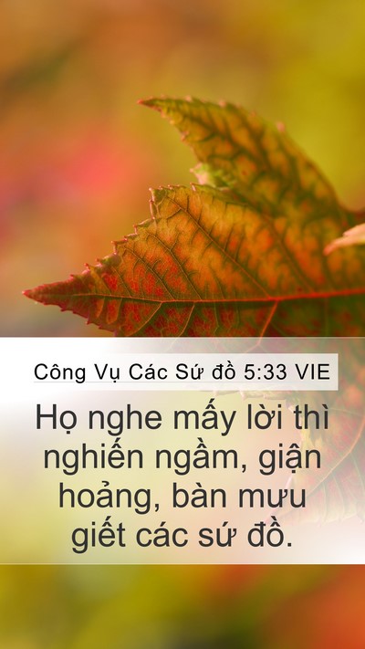 Công Vụ Các Sứ đồ 5:33 VIE Bible Verse Image