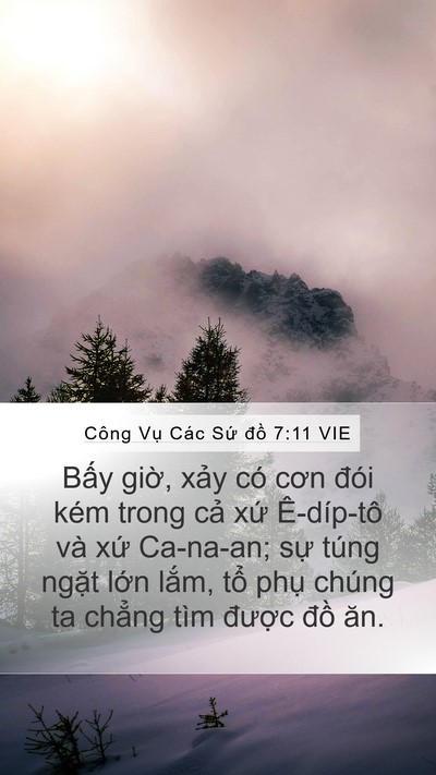 Công Vụ Các Sứ đồ 7:11 VIE Bible Verse Image