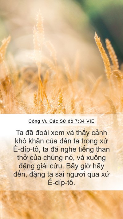 Công Vụ Các Sứ đồ 7:34 VIE Bible Verse Image