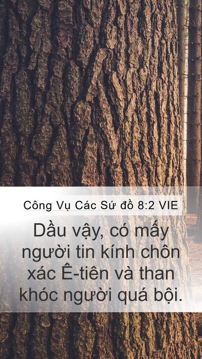 Công Vụ Các Sứ đồ 8:2 VIE Bible Verse Image