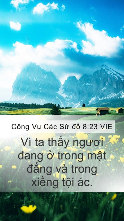 Công Vụ Các Sứ đồ 8:23 VIE Bible Verse Image