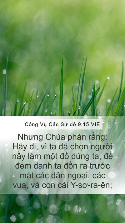 Công Vụ Các Sứ đồ 9:15 VIE Bible Verse Image