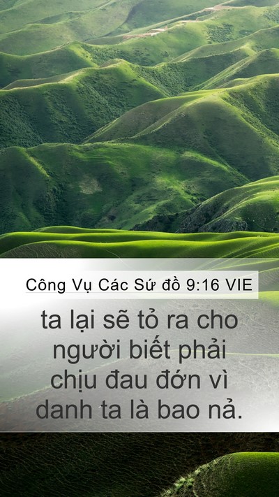 Công Vụ Các Sứ đồ 9:16 VIE Bible Verse Image
