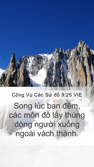 Công Vụ Các Sứ đồ 9:25 VIE Bible Verse Image