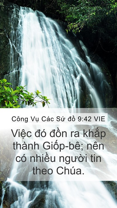 Công Vụ Các Sứ đồ 9:42 VIE Bible Verse Image