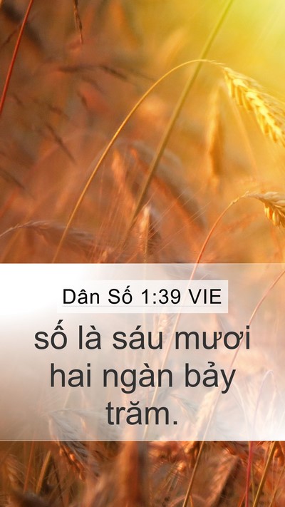 Dân Số 1:39 VIE Bible Verse Image