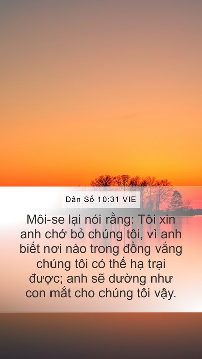 Dân Số 10:31 VIE Bible Verse Image