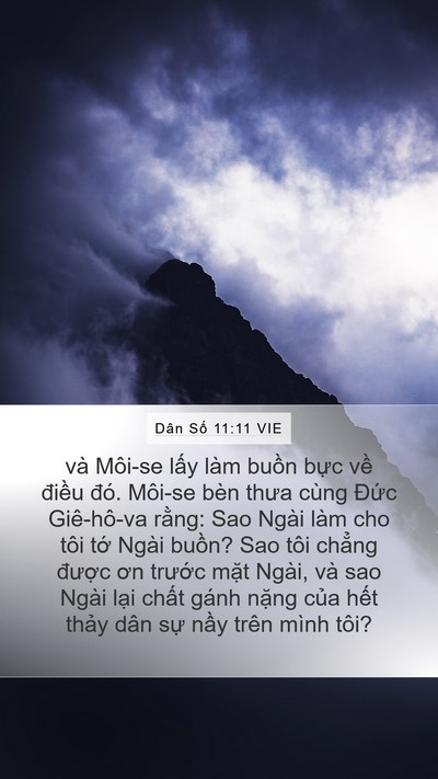 Dân Số 11:11 VIE Bible Verse Image