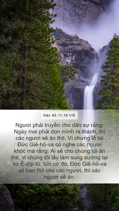 Dân Số 11:18 VIE Bible Verse Image