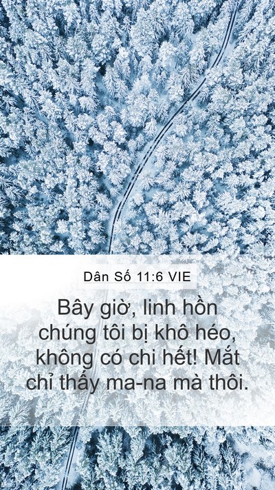Dân Số 11:6 VIE Bible Verse Image