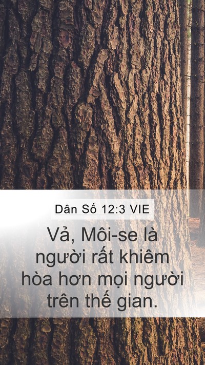 Dân Số 12:3 VIE Bible Verse Image