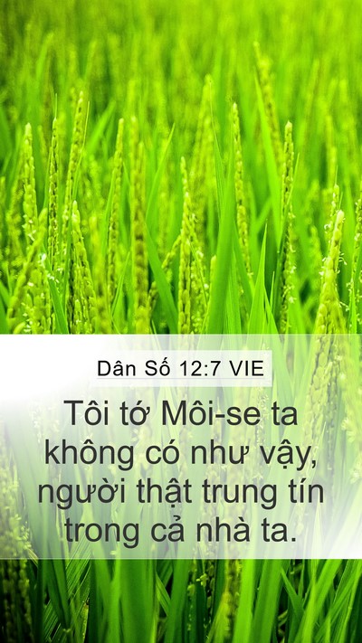 Dân Số 12:7 VIE Mobile Phone Wallpaper - Tôi tớ Môi-se ta không có như vậy, - Mobile Bible Verse Wallpaper