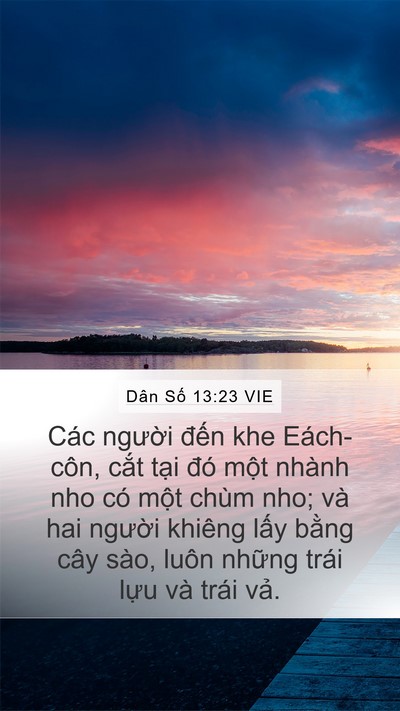 Dân Số 13:23 VIE Bible Verse Image