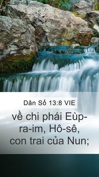 Dân Số 13:8 VIE Mobile Phone Wallpaper - về chi phái Eùp-ra-im, Hô-sê, con trai - Mobile Bible Verse Wallpaper