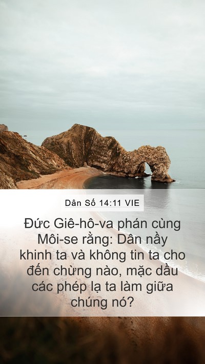 Dân Số 14:11 VIE Bible Verse Image