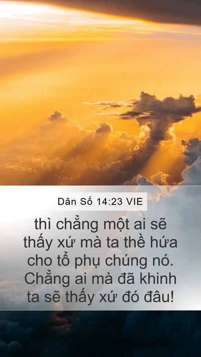 Dân Số 14:23 VIE Bible Verse Image