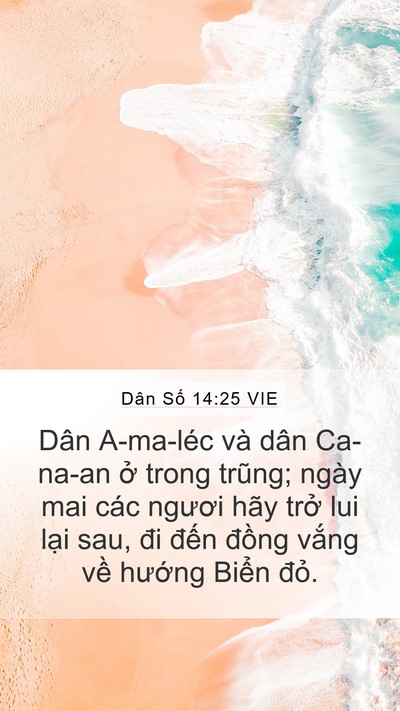 Dân Số 14:25 VIE Bible Verse Image