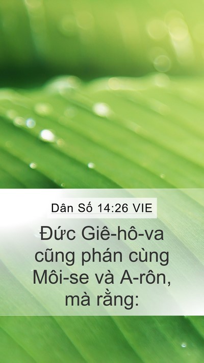 Dân Số 14:26 VIE Mobile Phone Wallpaper - Đức Giê-hô-va cũng phán cùng Môi-se và - Mobile Bible Verse Wallpaper