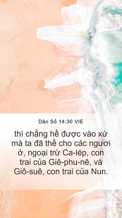 Dân Số 14:30 VIE Bible Verse Image