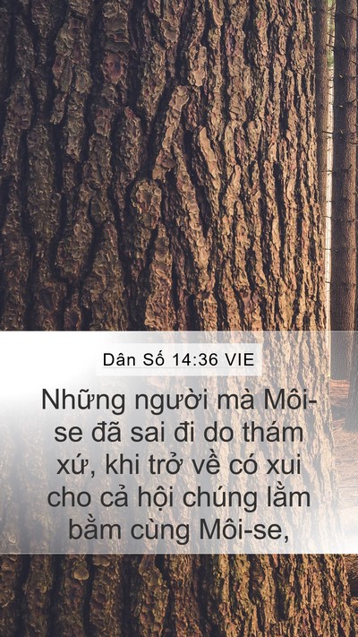 Dân Số 14:36 VIE Bible Verse Image