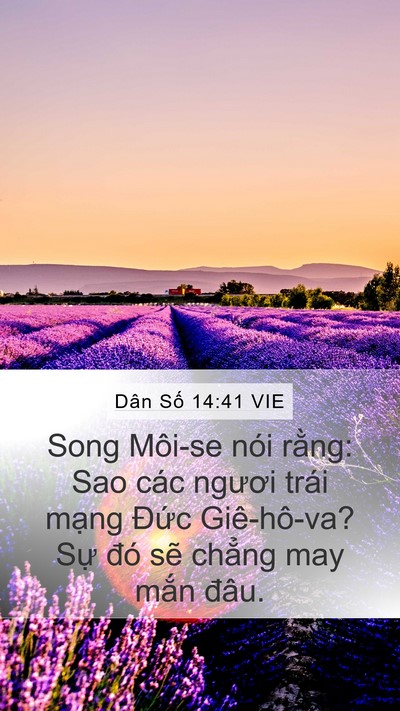 Dân Số 14:41 VIE Bible Verse Image