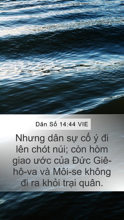 Dân Số 14:44 VIE Bible Verse Image
